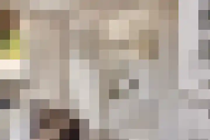 Reute 26 Haaksbergen thumbnail 26