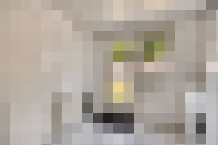 Reute 26 Haaksbergen thumbnail 27