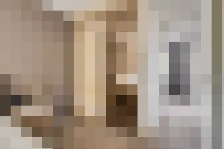 Reute 26 Haaksbergen thumbnail 30