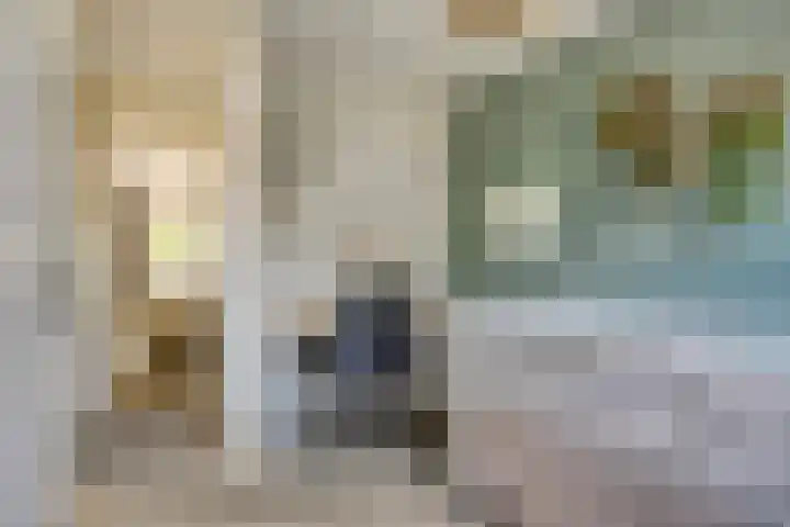 Reute 26 Haaksbergen thumbnail 32