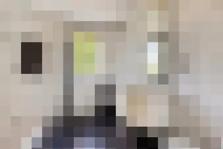 Reute 26 Haaksbergen thumbnail 34