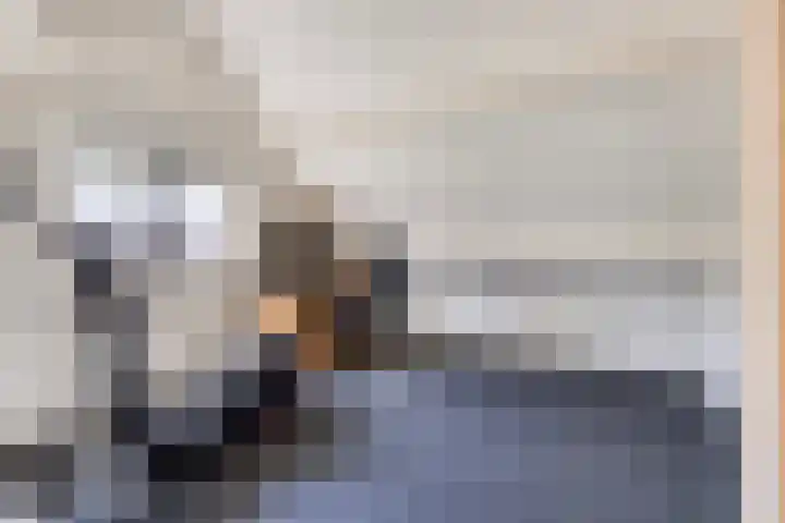 Reute 26 Haaksbergen thumbnail 39