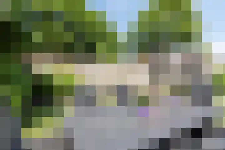 Reute 26 Haaksbergen thumbnail 43