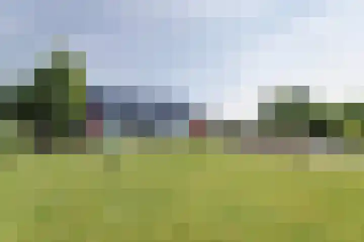 Reutjesweg 60 Sint Odiliënberg thumbnail 6