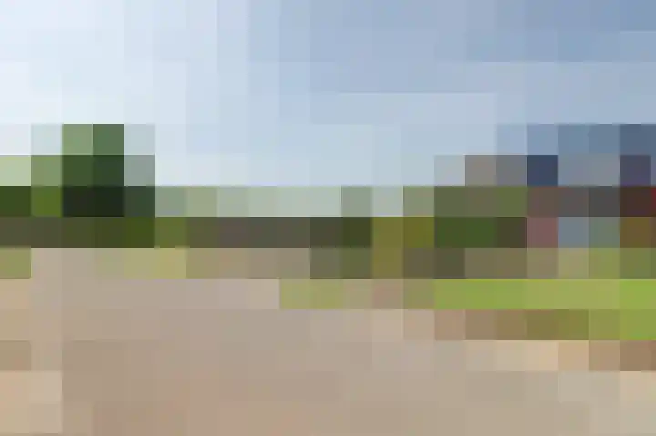 Reutjesweg 60 Sint Odiliënberg thumbnail 8