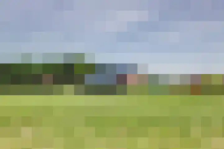 Reutjesweg 60 Sint Odiliënberg thumbnail 83