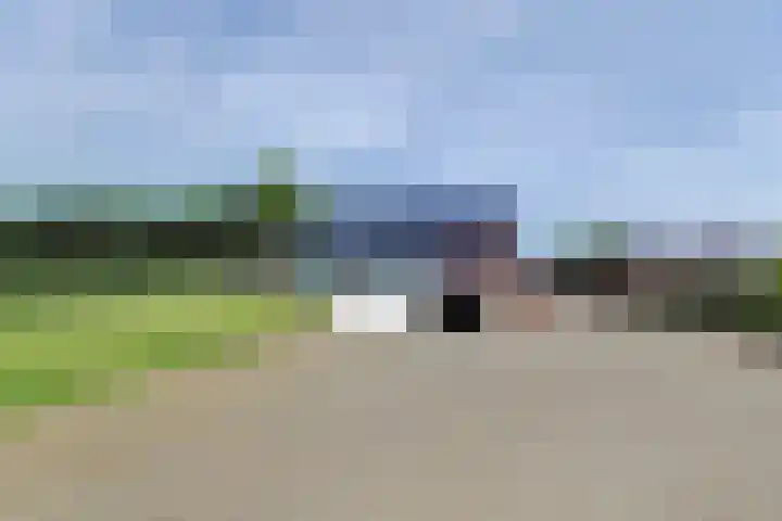 Reutjesweg 60 Sint Odiliënberg thumbnail 84