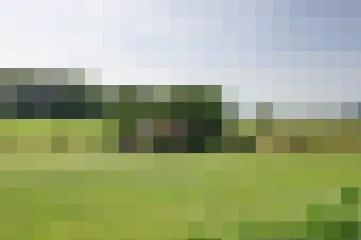 Reutjesweg 60 Sint Odiliënberg thumbnail 87