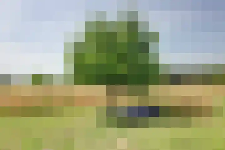 Reutjesweg 60 Sint Odiliënberg thumbnail 89