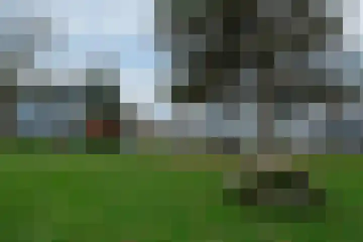 Reutumbrink 32 2 Enschede thumbnail 8