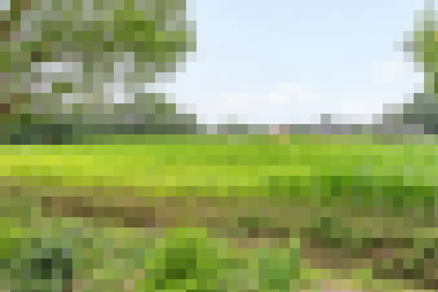 Reutummerweg 65 ZH04 Reutum thumbnail 14