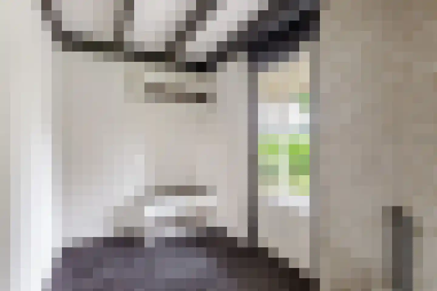 Reutummerweg 65 ZH04 Reutum thumbnail 9