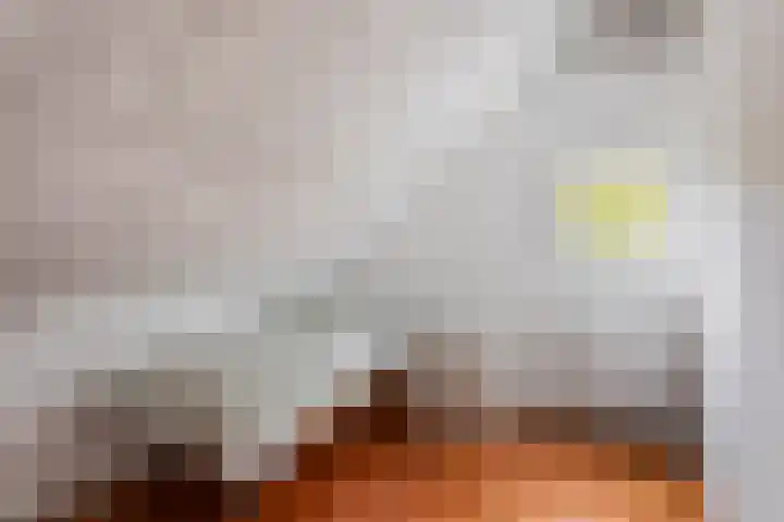 Reutummerweg 65 ZH11 Reutum thumbnail 11