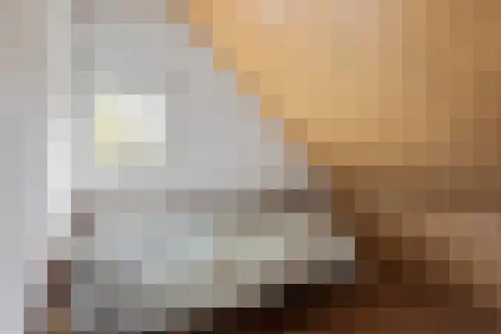 Reutummerweg 65 ZH11 Reutum thumbnail 12