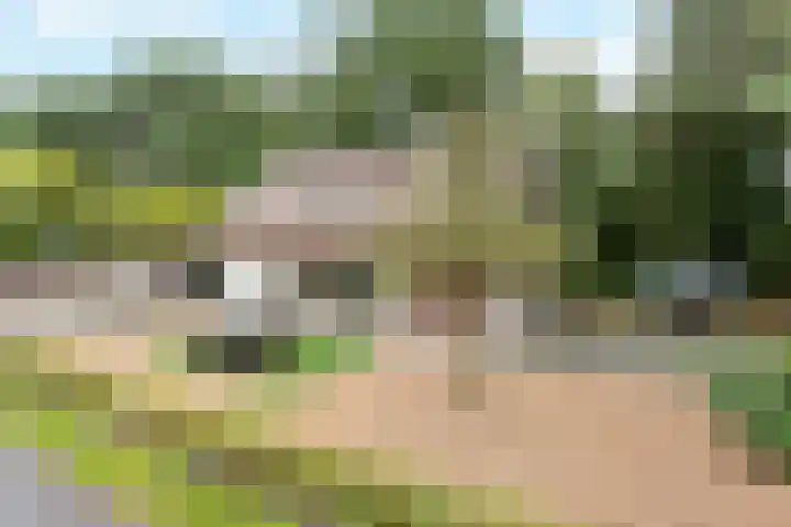 Reutummerweg 65 ZH11 Reutum thumbnail 14