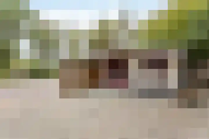 Reutummerweg 65 ZH11 Reutum thumbnail 15