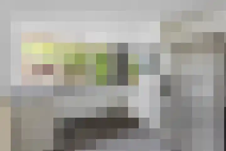 Reutummerweg 65 ZH11 Reutum thumbnail 7