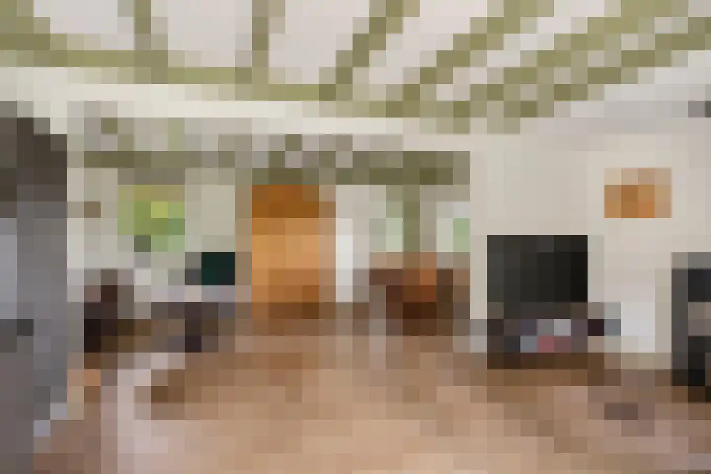 Reutummerweg 65 ZH26 Reutum thumbnail 10