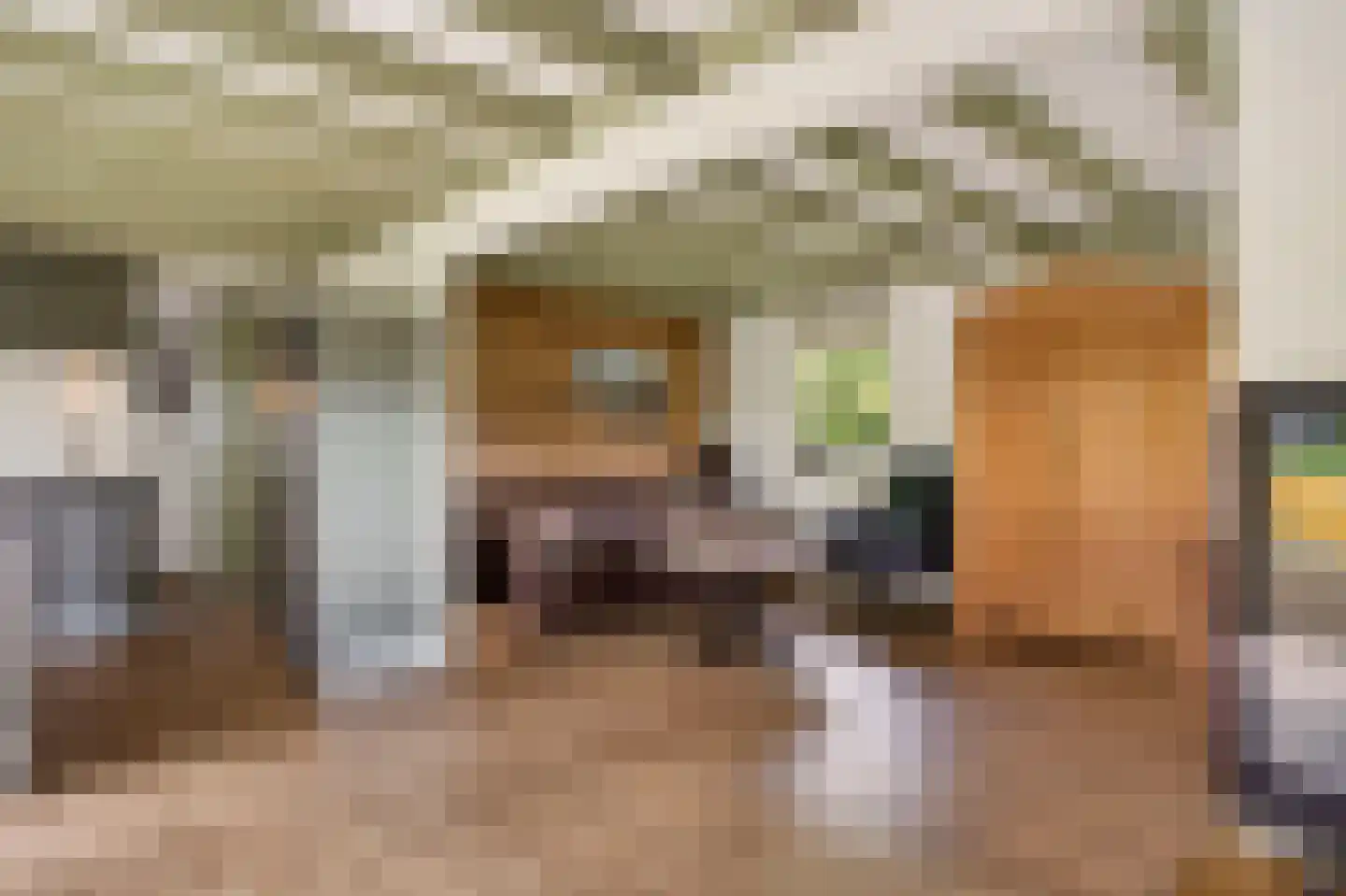 Reutummerweg 65 ZH26 Reutum thumbnail 11