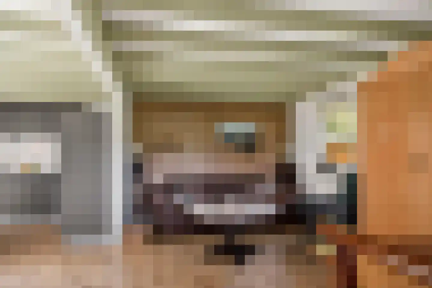 Reutummerweg 65 ZH26 Reutum thumbnail 12
