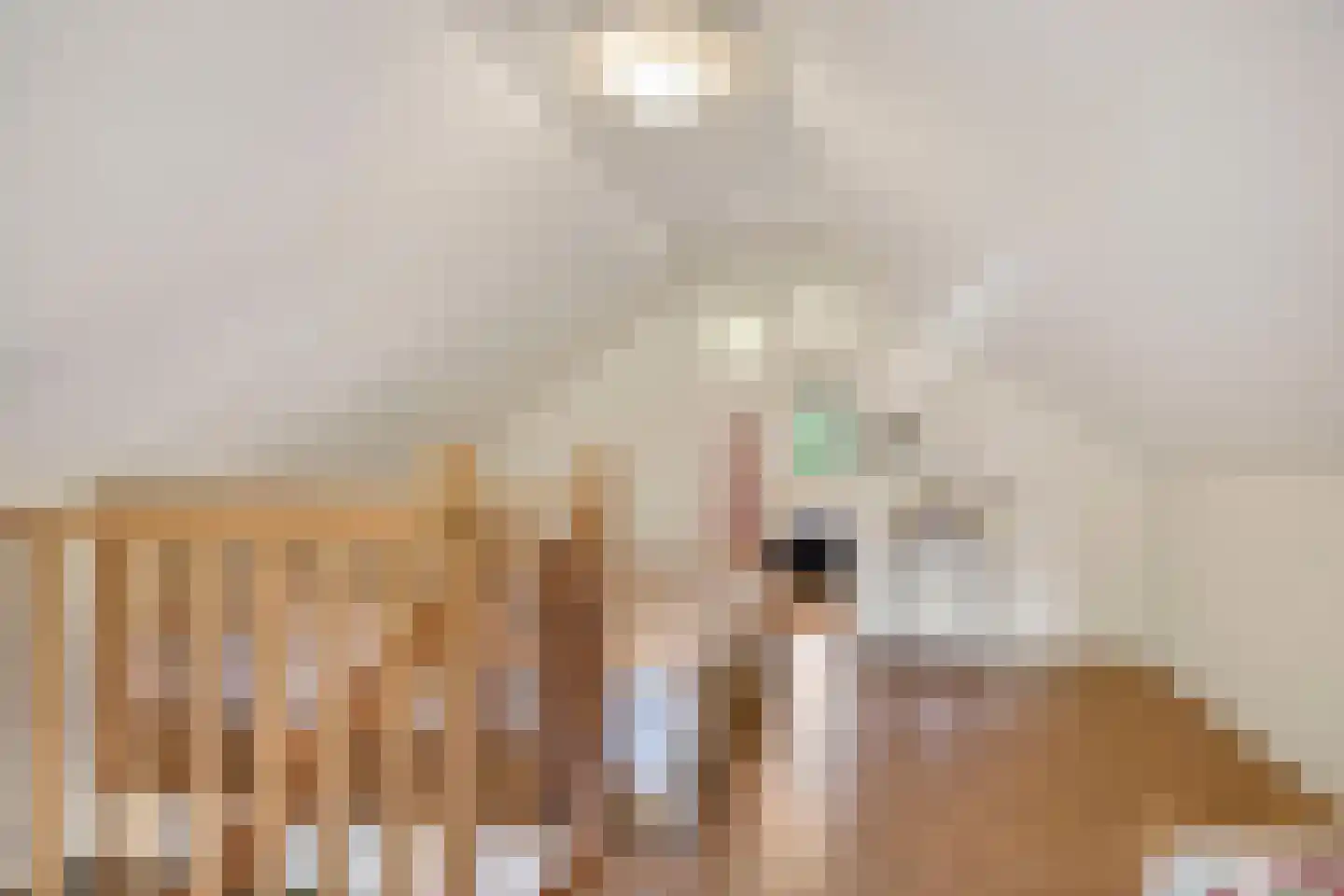 Reutummerweg 65 ZH26 Reutum thumbnail 21