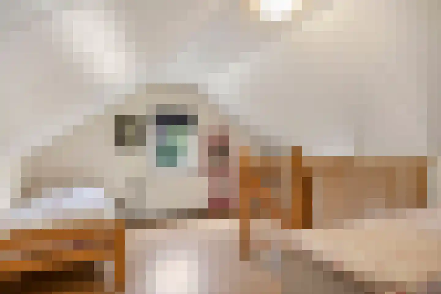 Reutummerweg 65 ZH26 Reutum thumbnail 22