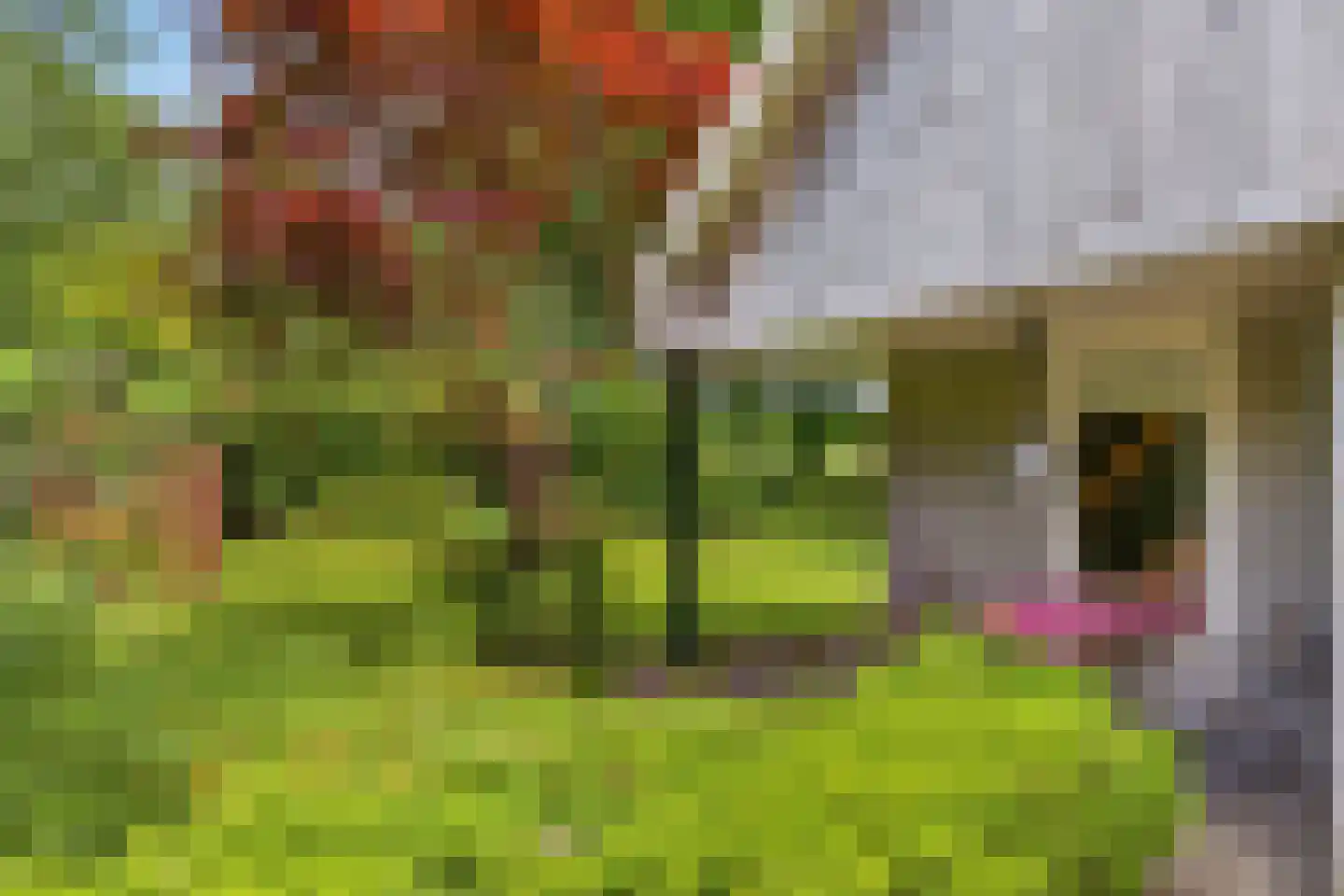 Reutummerweg 65 ZH26 Reutum thumbnail 25