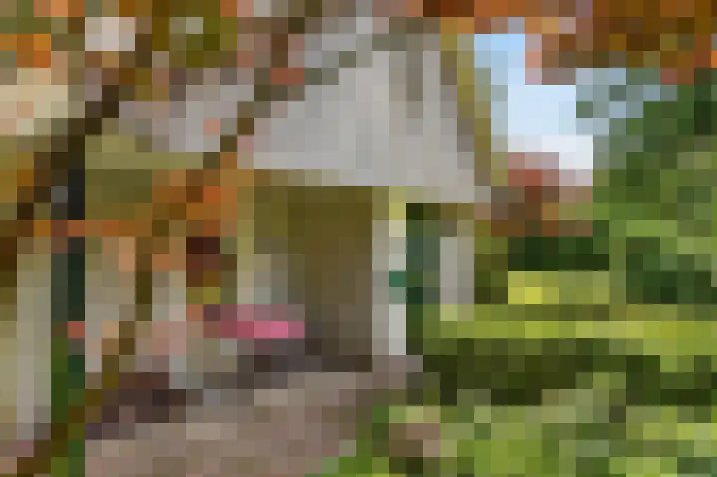 Reutummerweg 65 ZH26 Reutum thumbnail 26