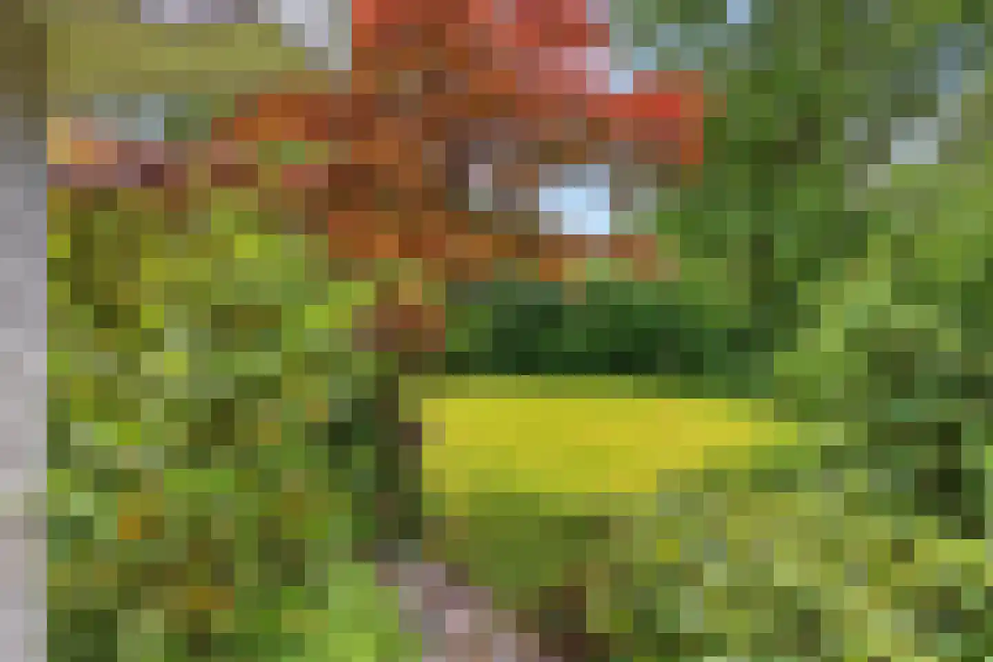 Reutummerweg 65 ZH26 Reutum thumbnail 27