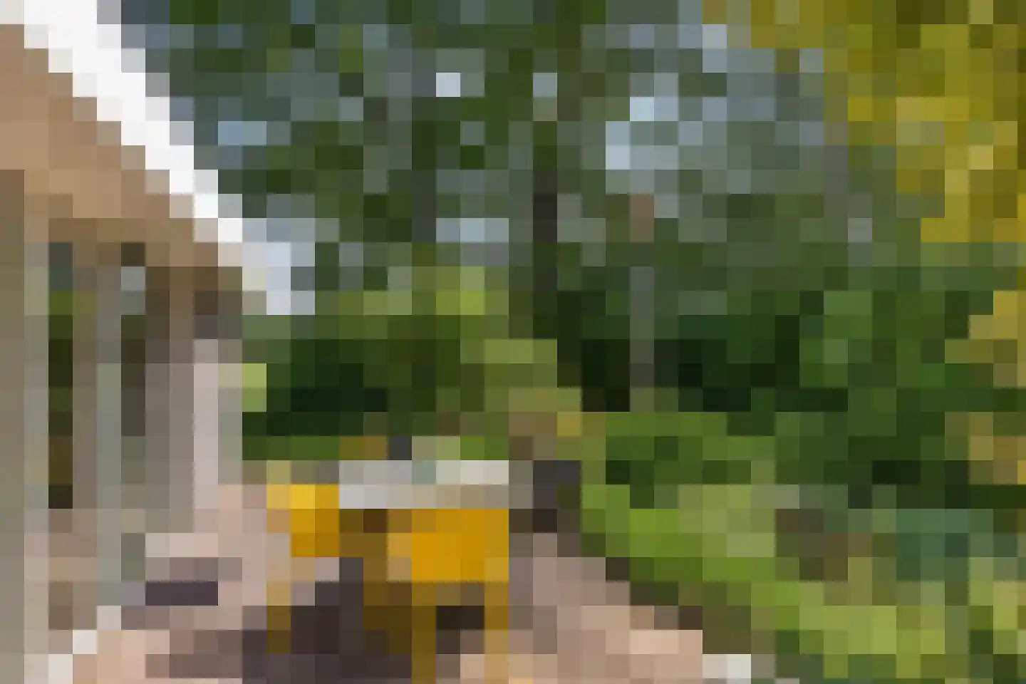 Reutummerweg 65 ZH26 Reutum thumbnail 28