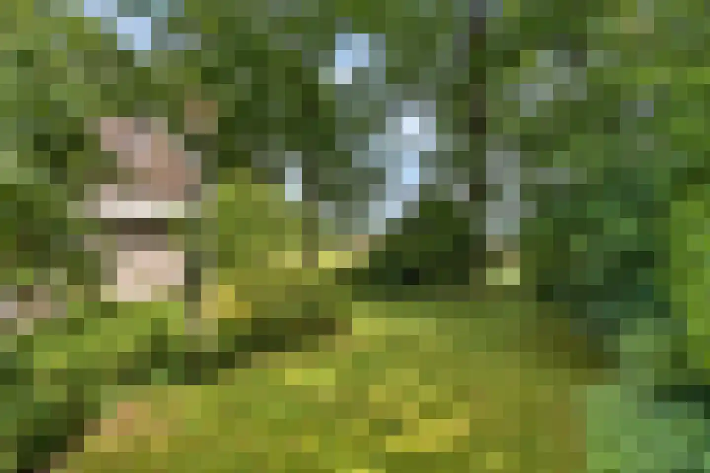Reutummerweg 65 ZH26 Reutum thumbnail 30