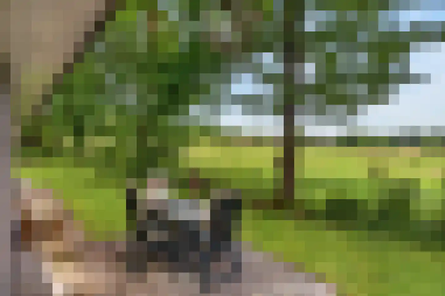 Reutummerweg 65 ZH26 Reutum thumbnail 32