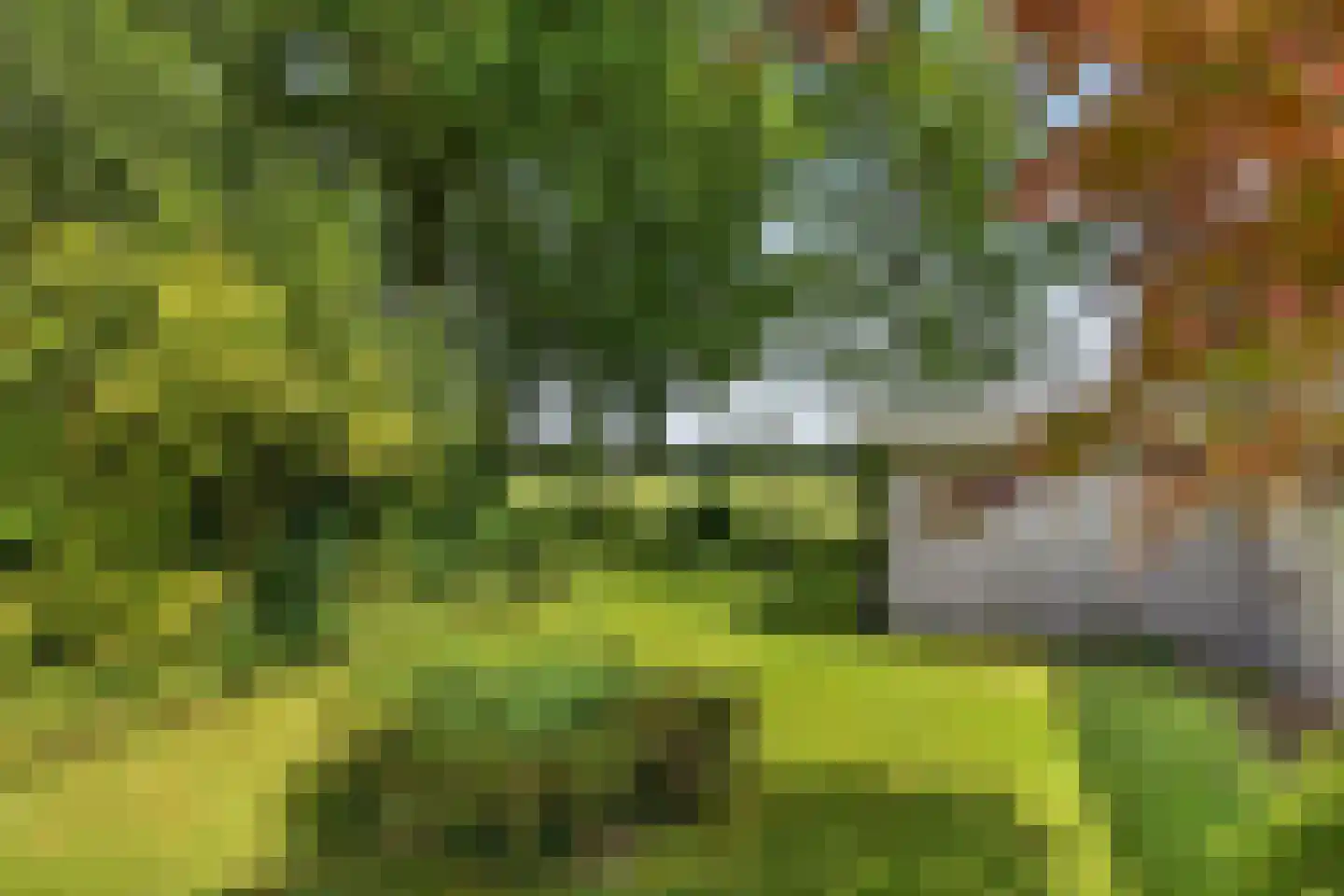 Reutummerweg 65 ZH26 Reutum thumbnail 36