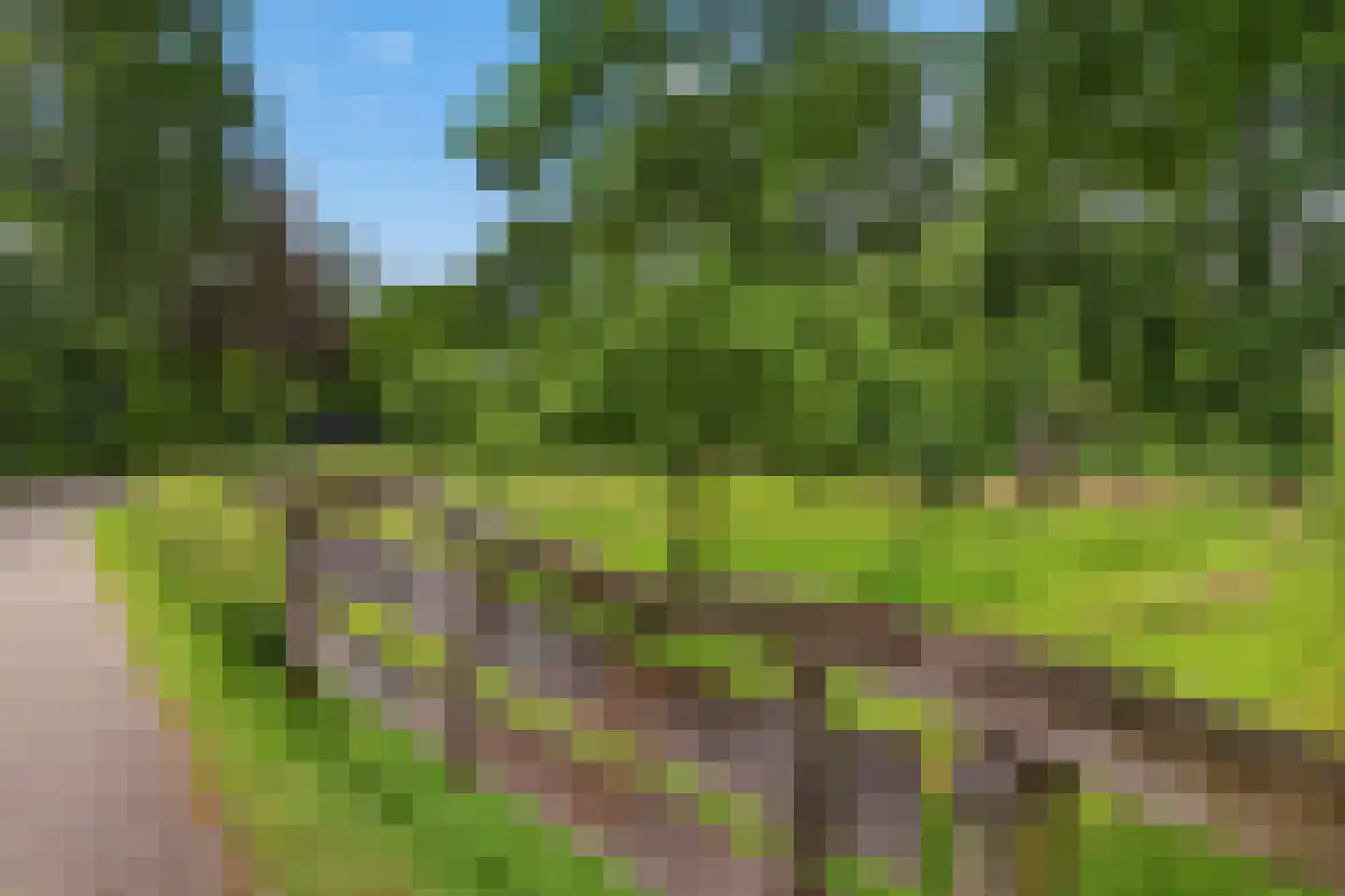 Reutummerweg 65 ZH26 Reutum thumbnail 39