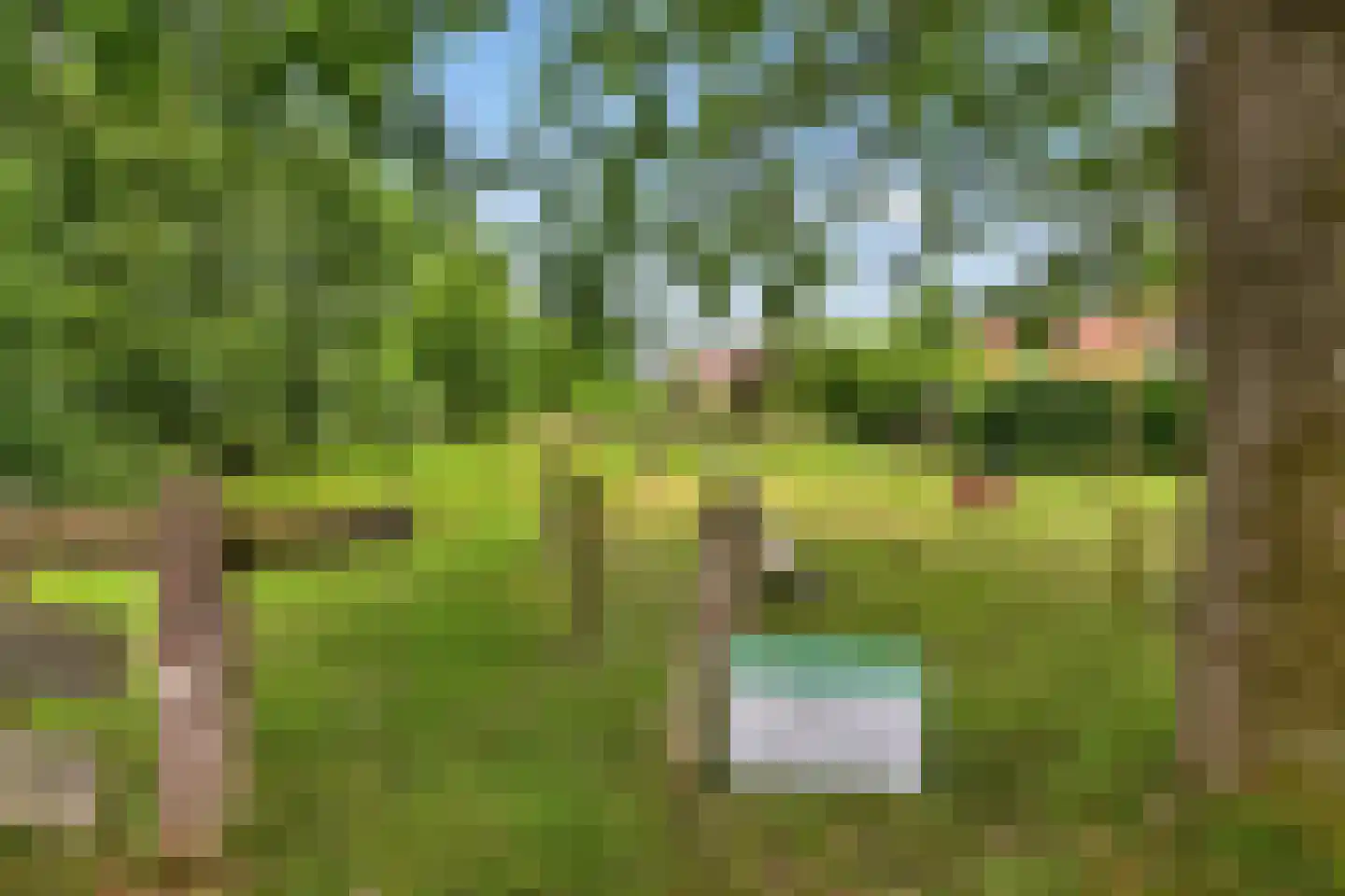 Reutummerweg 65 ZH26 Reutum thumbnail 40