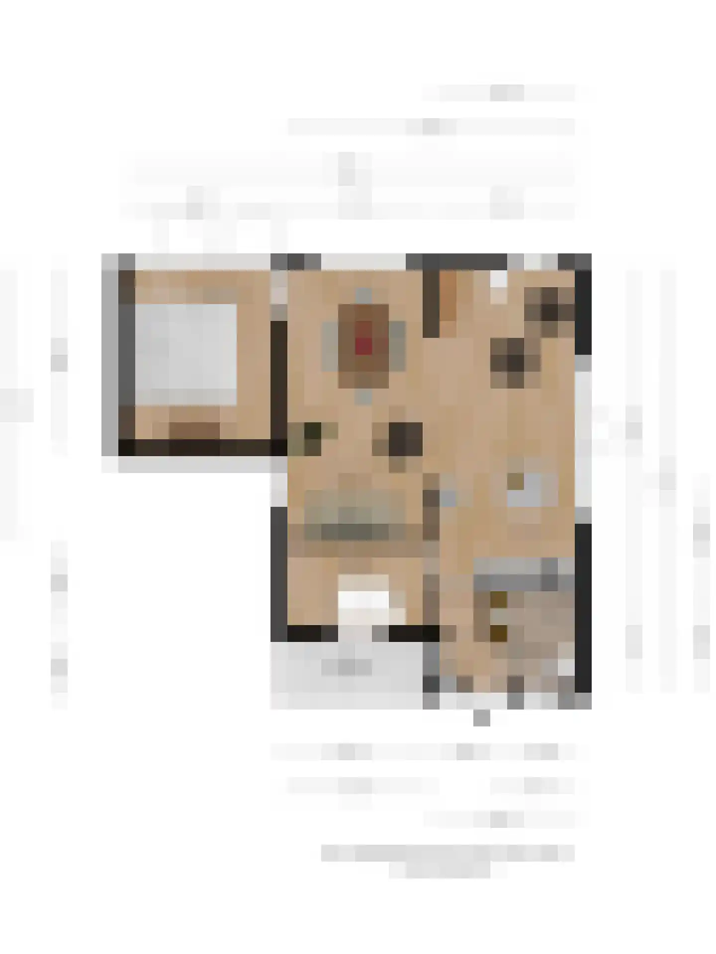 Reutummerweg 65 ZH26 Reutum thumbnail 41