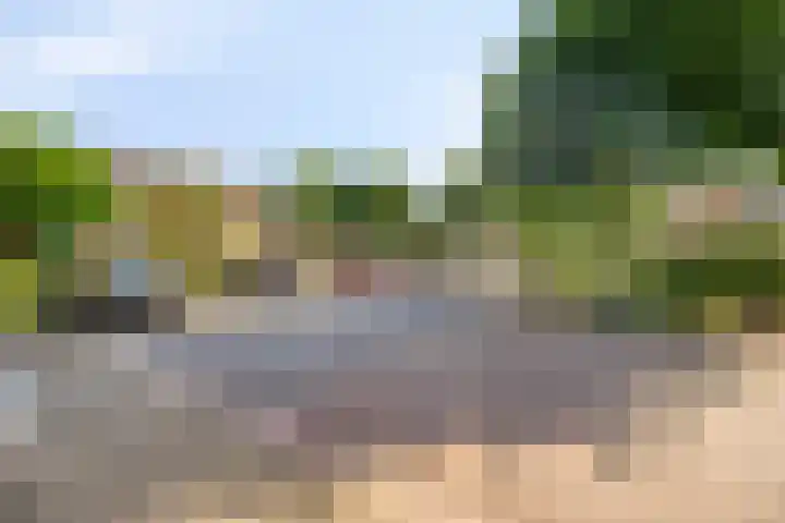 Reuvekamp 56 Gorssel thumbnail 11