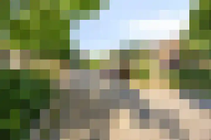Reuvekamp 56 Gorssel thumbnail 12