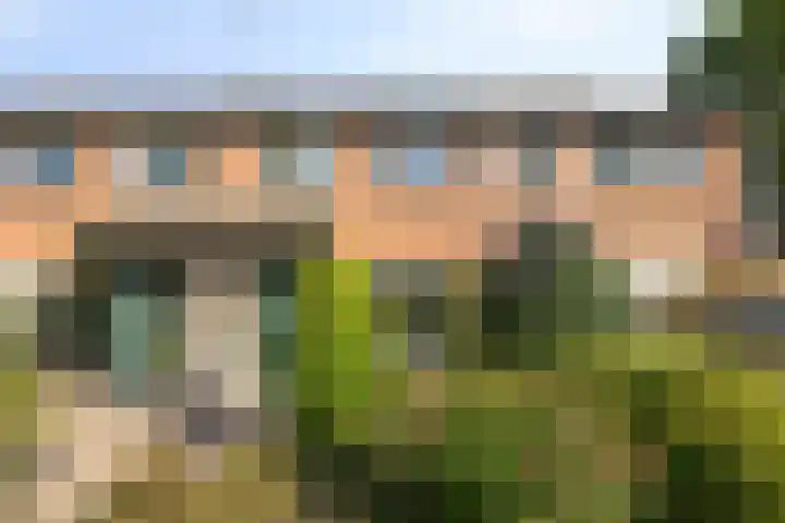 Reuvekamp 56 Gorssel thumbnail 30
