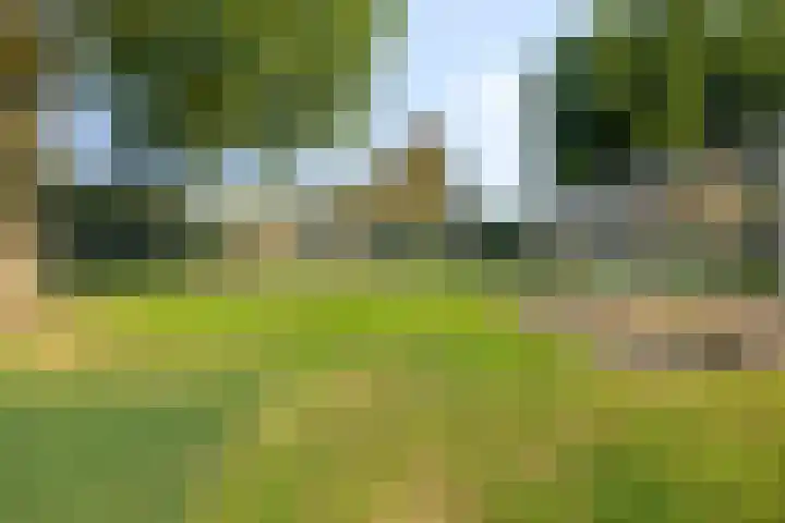 Reuvekamp 56 Gorssel thumbnail 31