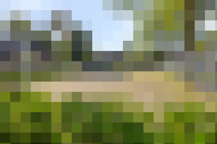 Reuvekamp 56 Gorssel thumbnail 32