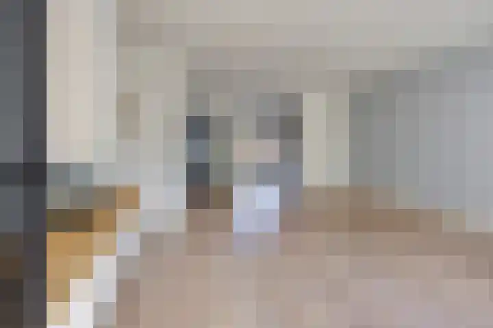 Reuvekamp 56 Gorssel thumbnail 4