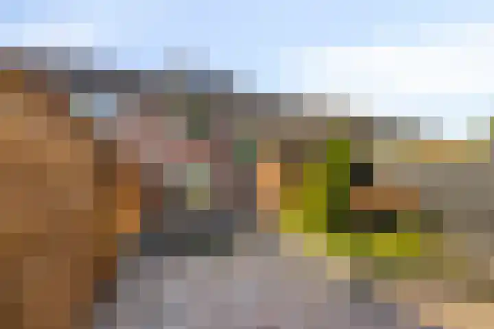 Reuvekamp 56 Gorssel thumbnail 8