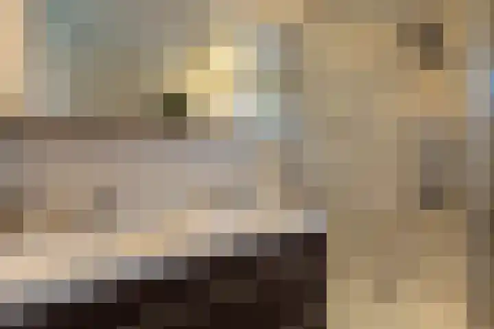 Reuvekamplaan 10 Almelo thumbnail 17