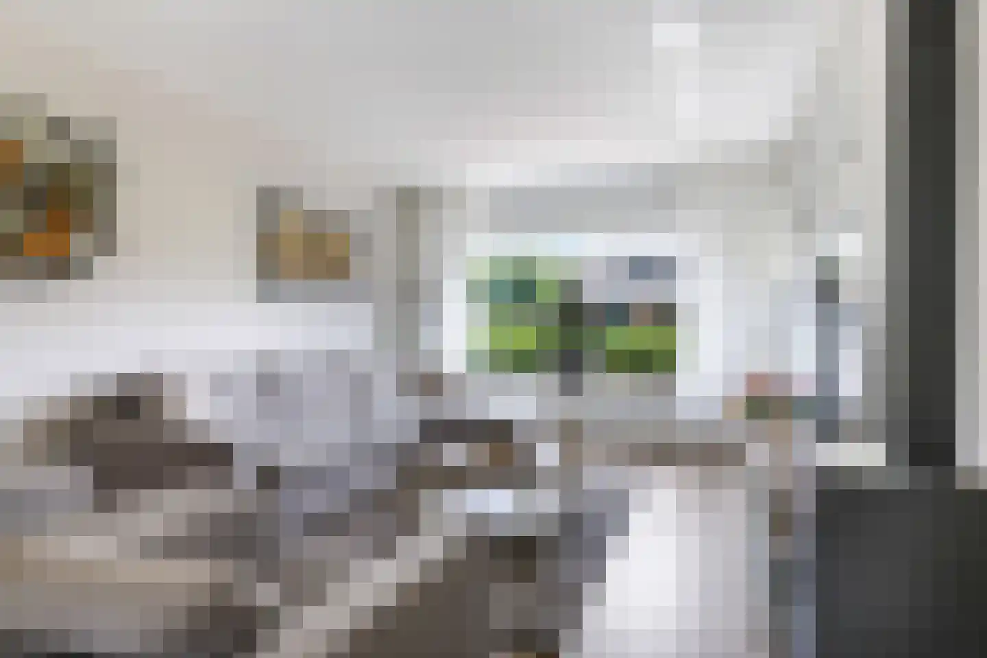 Reuvekampstraat 2 Driel thumbnail 14