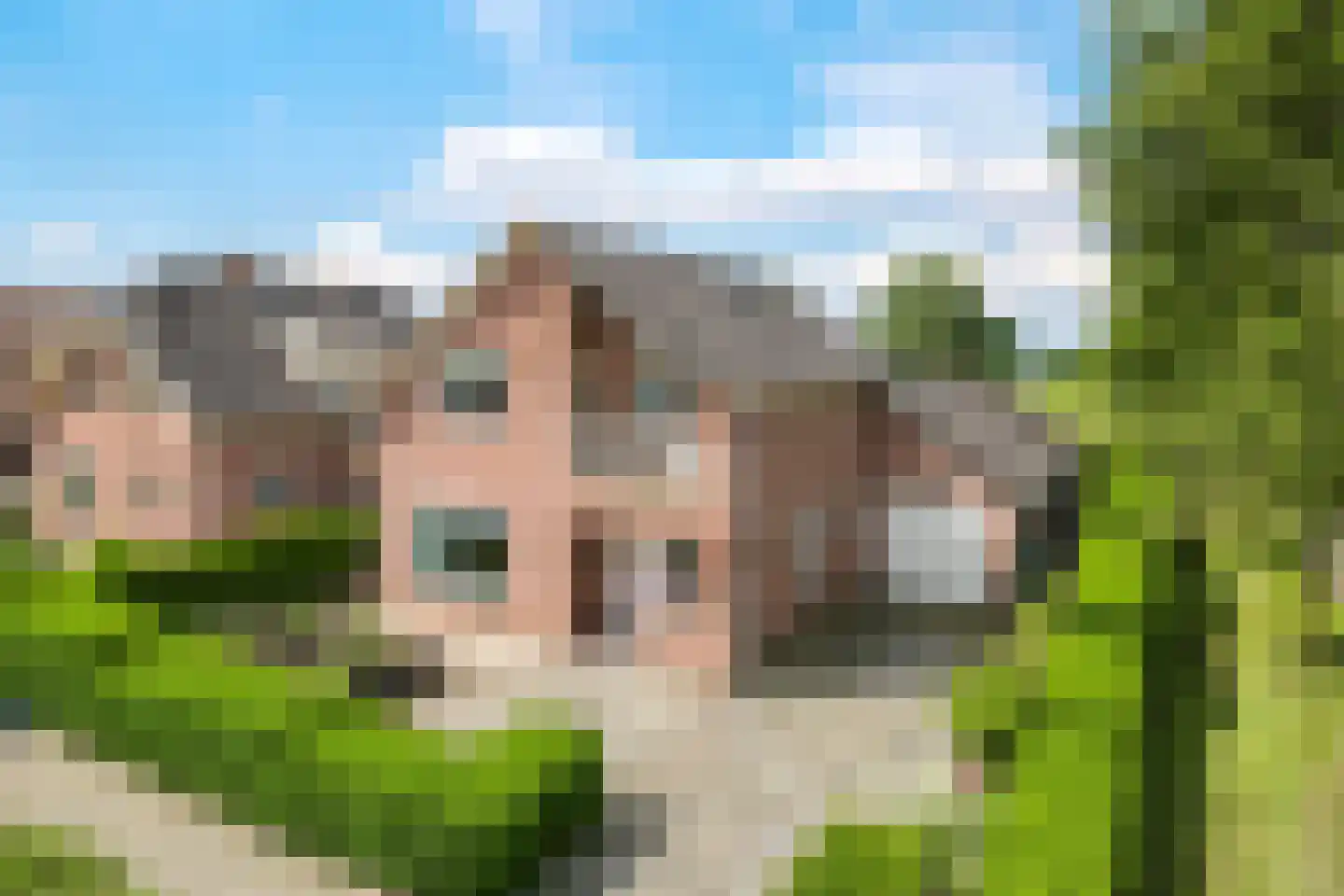 Reuvekampstraat 2 Driel foto 2