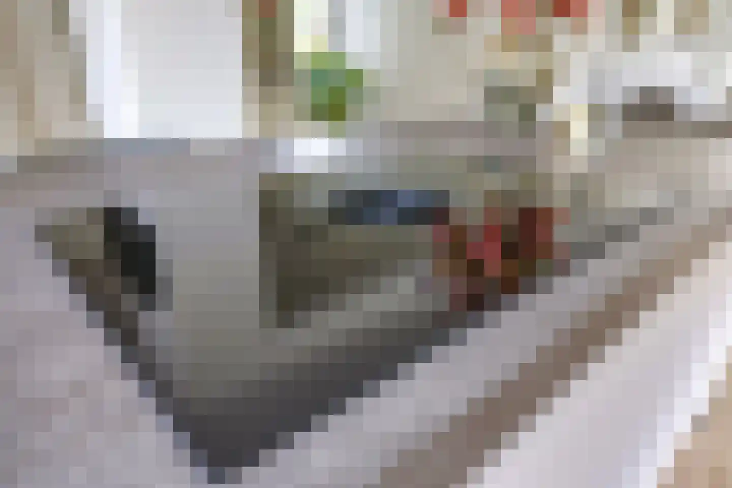 Reuvekampstraat 2 Driel thumbnail 25