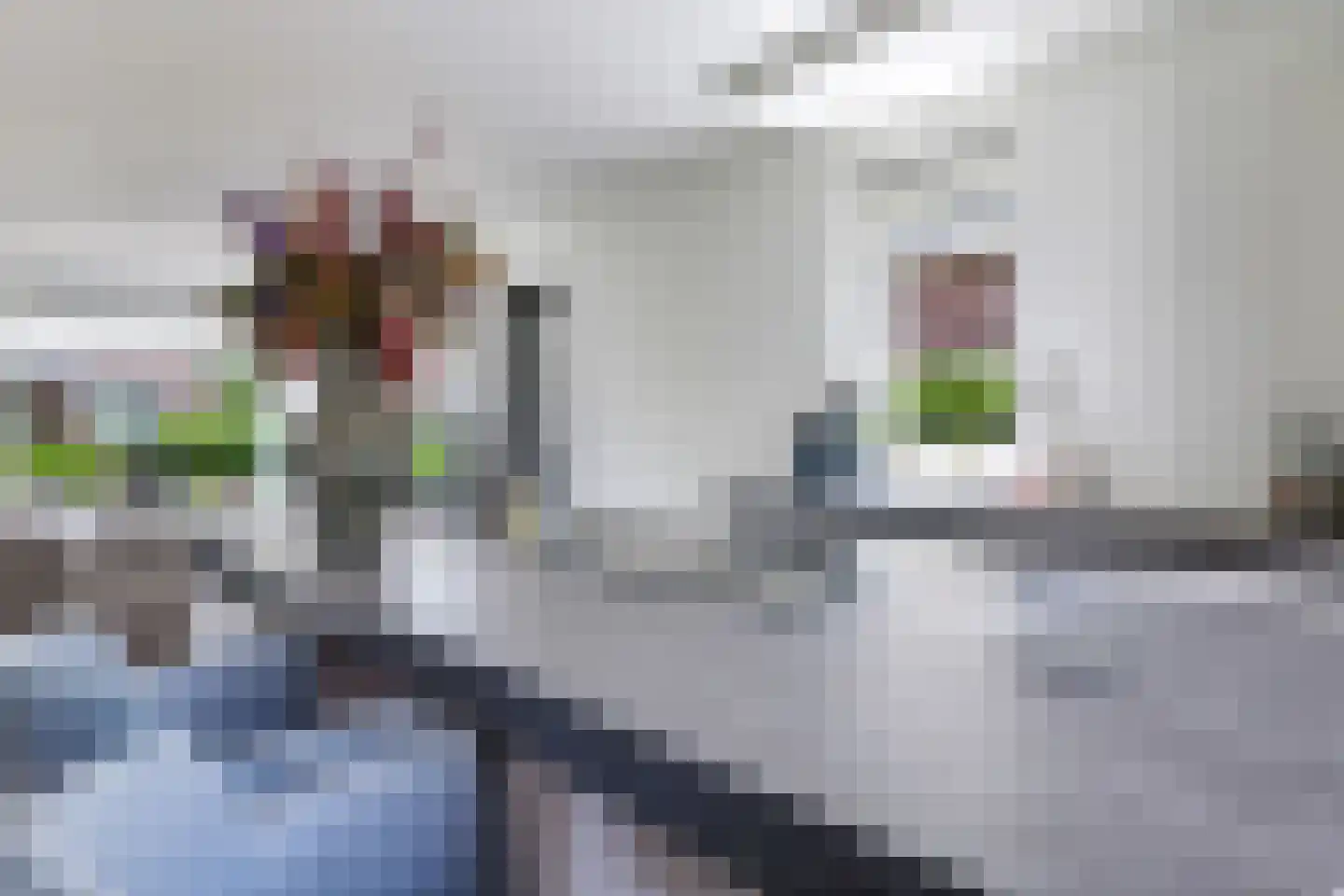 Reuvekampstraat 2 Driel thumbnail 26