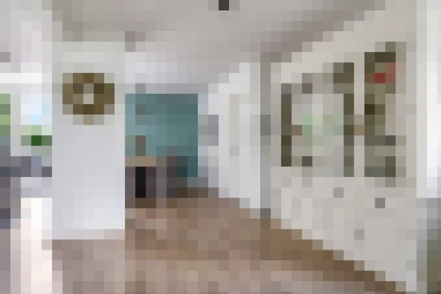 Reuvekampstraat 2 Driel thumbnail 29