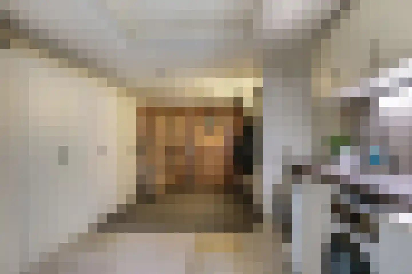 Reuvekampstraat 2 Driel thumbnail 36